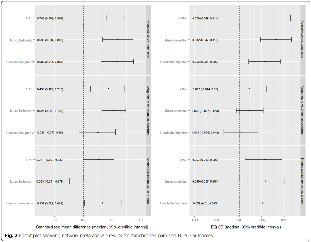 Saramago-F2-2016-1024x798